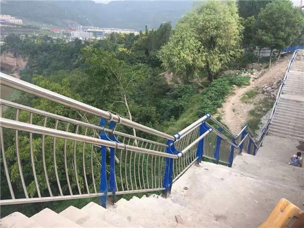 临高不锈钢桥梁栏杆